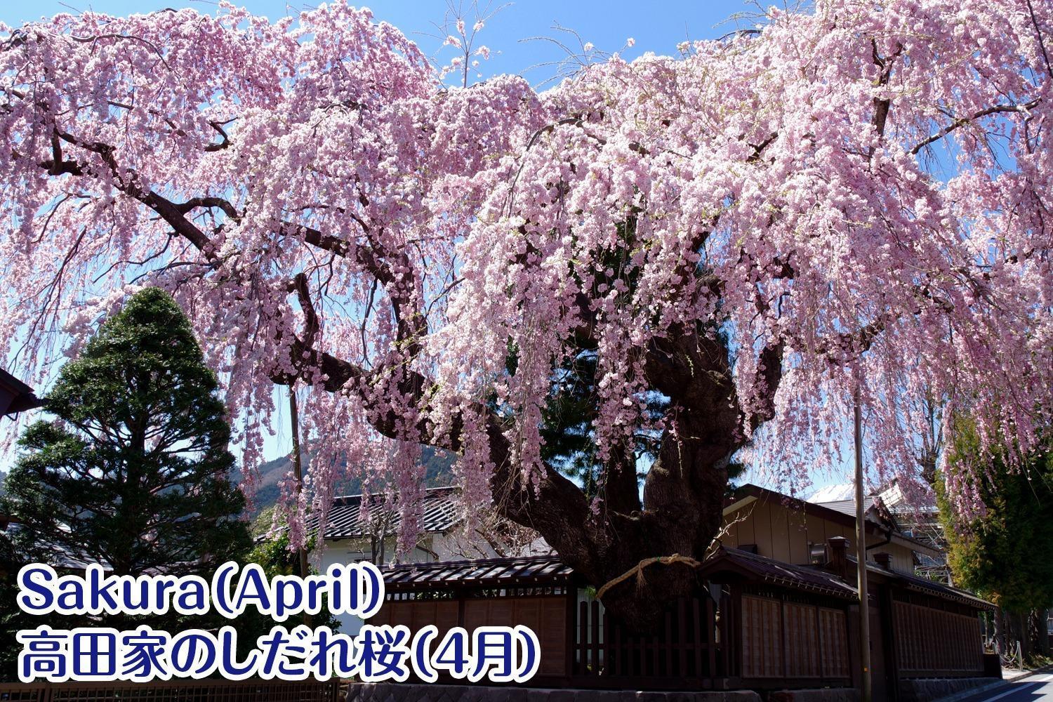 Nikko Stay House Arai - Vacation Stay 14994V Kültér fotó